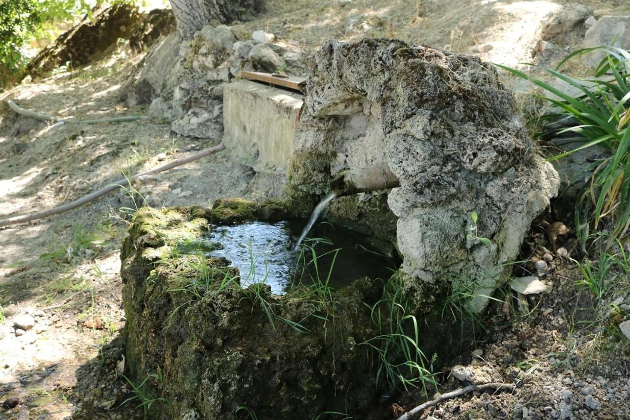 Cortijo El Marques Quesada