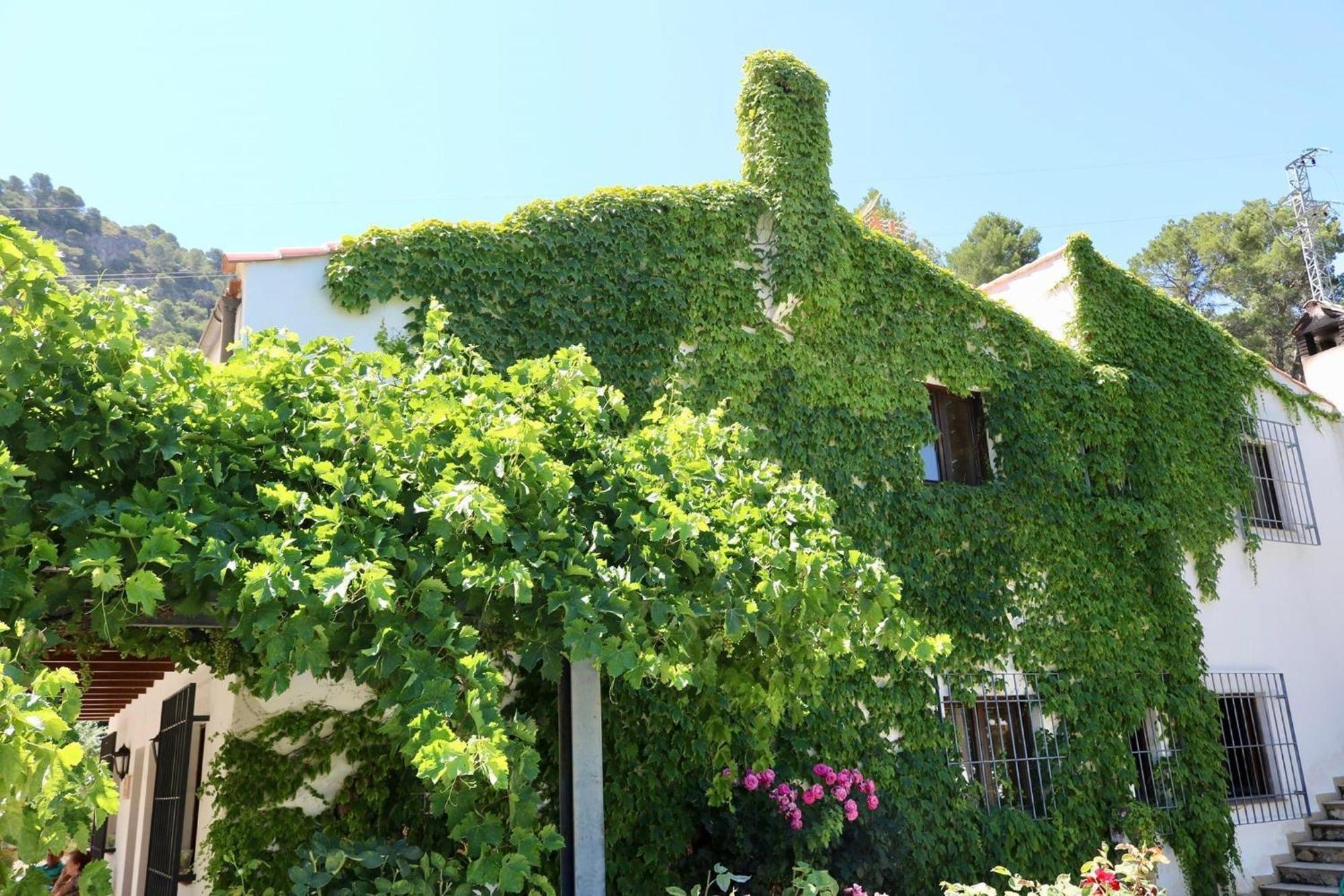 Cortijo El Marques Apartment *